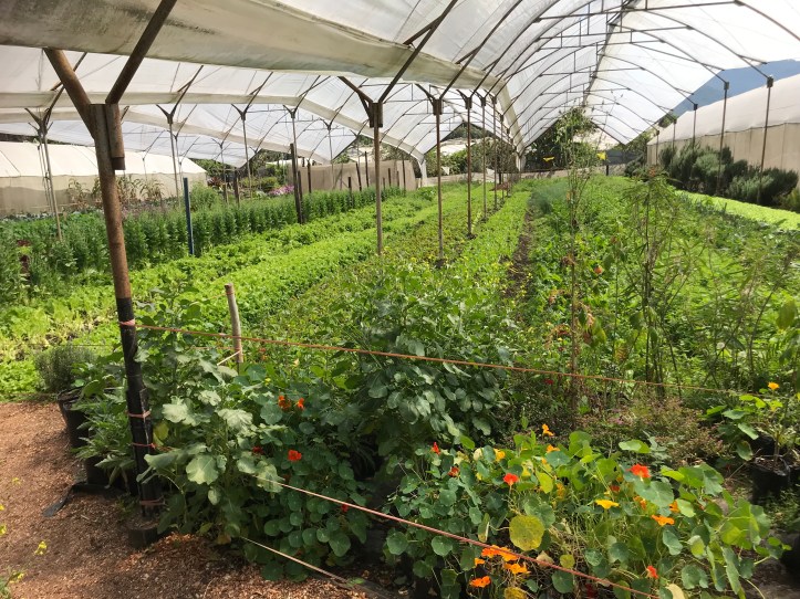 99827ad0-d155-4a22-8c87-b0494106d892